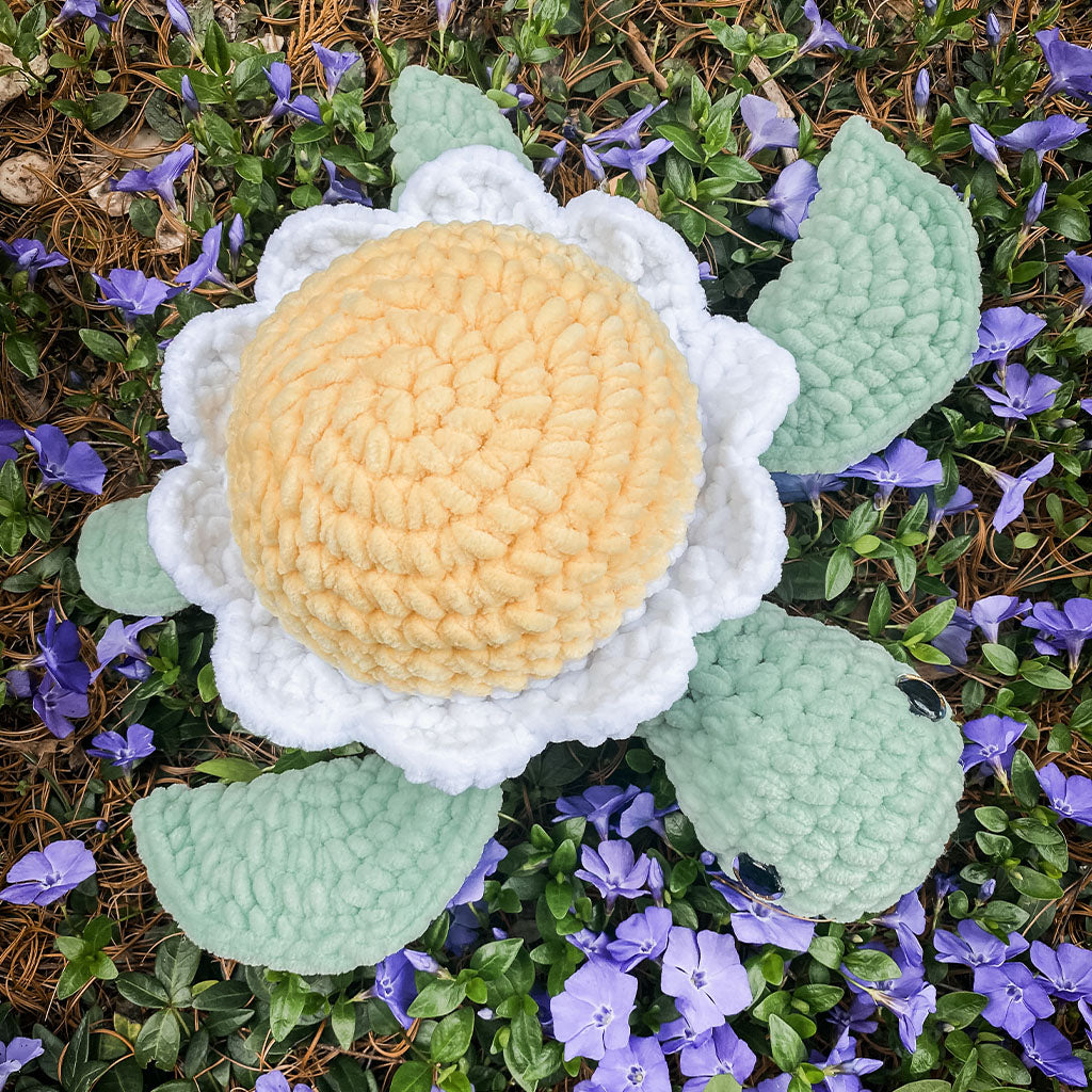 Daisy Sea Turtle