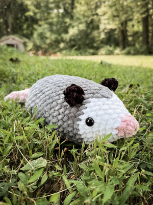 Possum