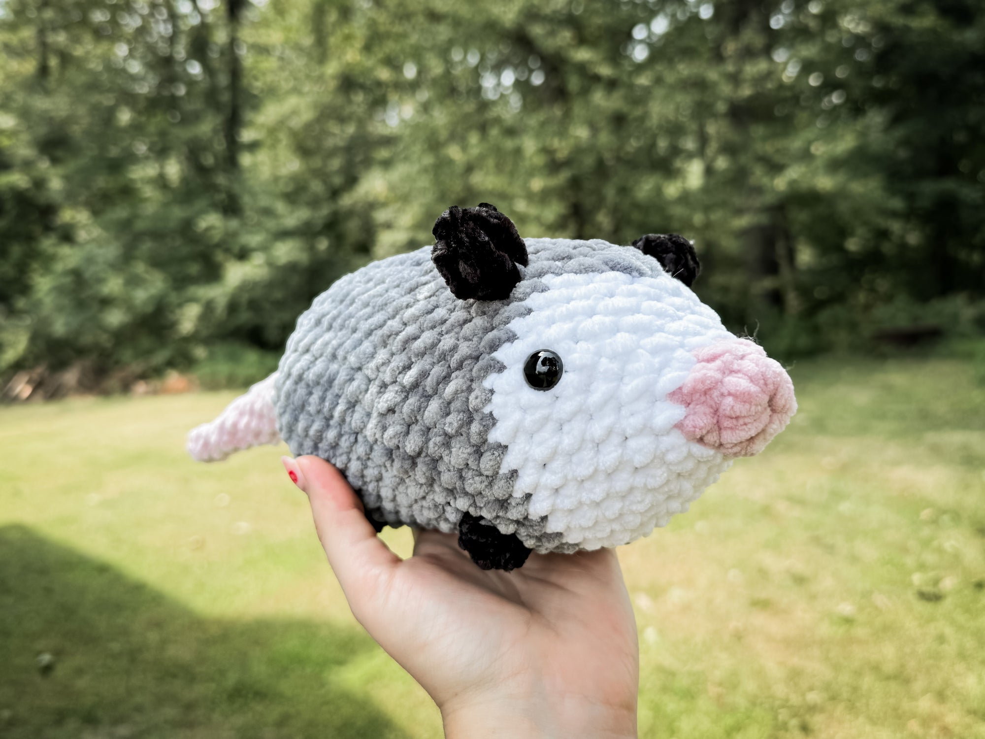Possum