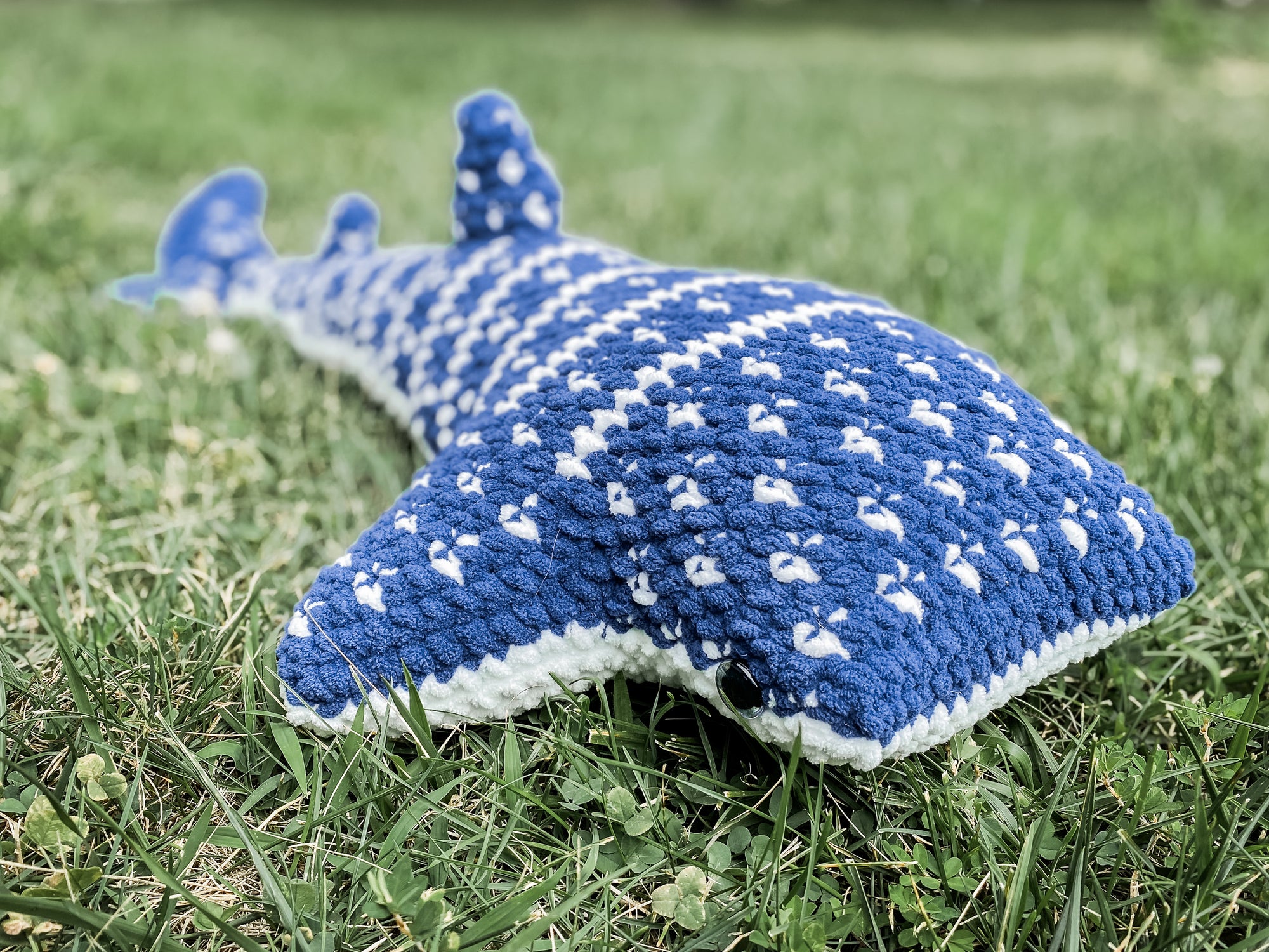 Whale Shark